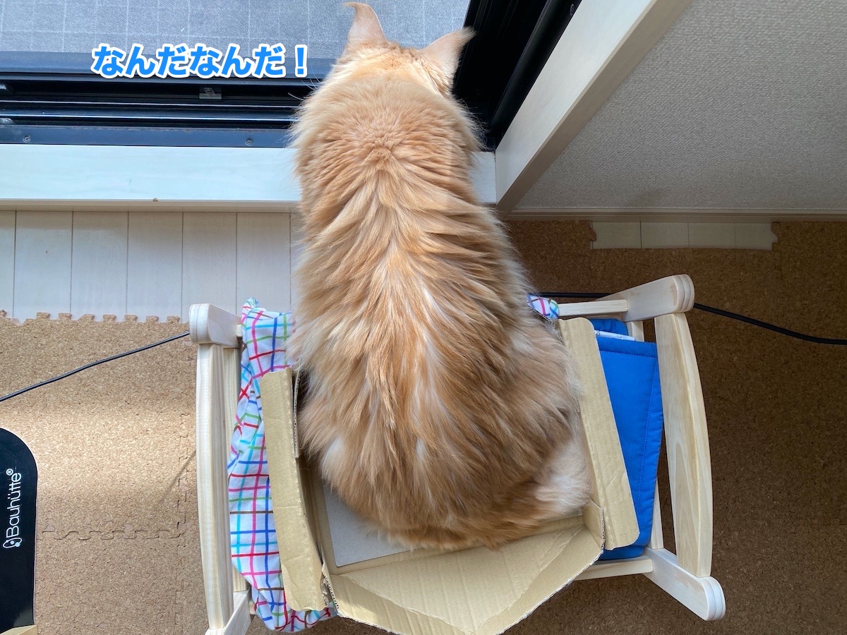 f:id:chikojirou:20200929203342j:plain f:id:chikojirou:20200929203342j:plain