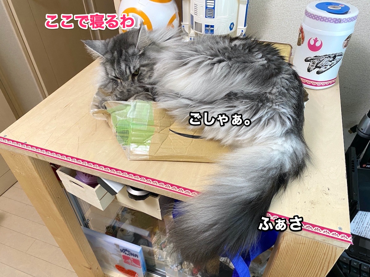 f:id:chikojirou:20200929203357j:plain f:id:chikojirou:20200929203357j:plain