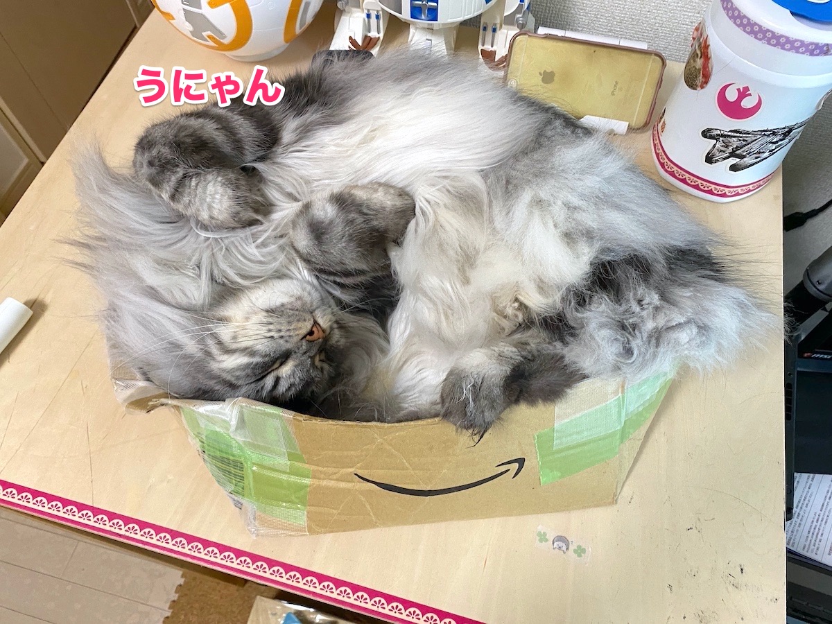 f:id:chikojirou:20200929203400j:plain f:id:chikojirou:20200929203400j:plain