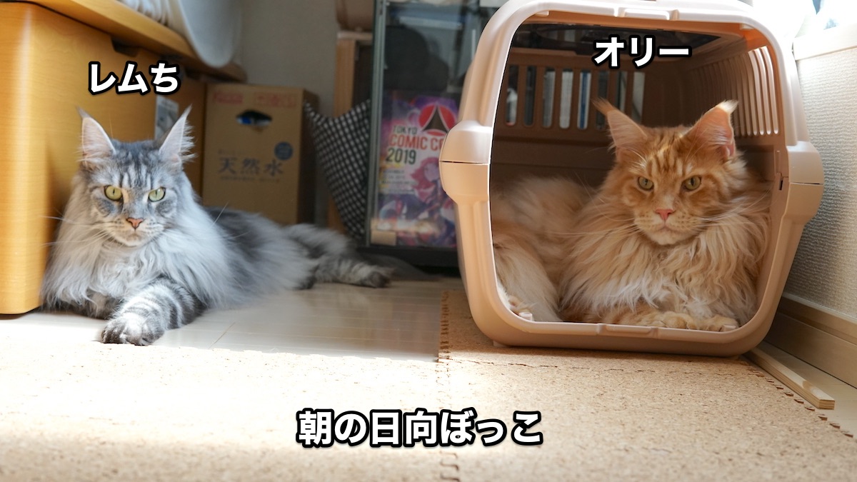 f:id:chikojirou:20200930201408j:plain