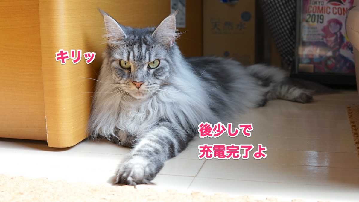 f:id:chikojirou:20200930201413j:plain