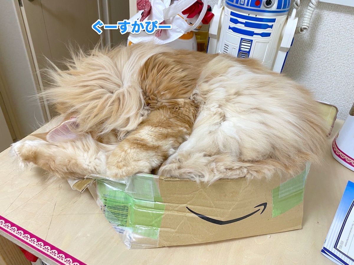 f:id:chikojirou:20200930201433j:plain