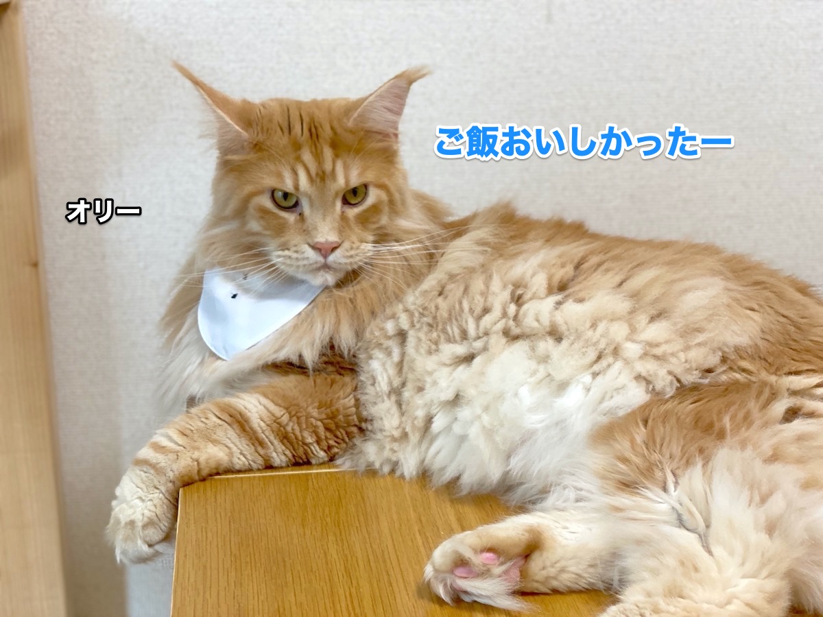 f:id:chikojirou:20201002210812j:plain