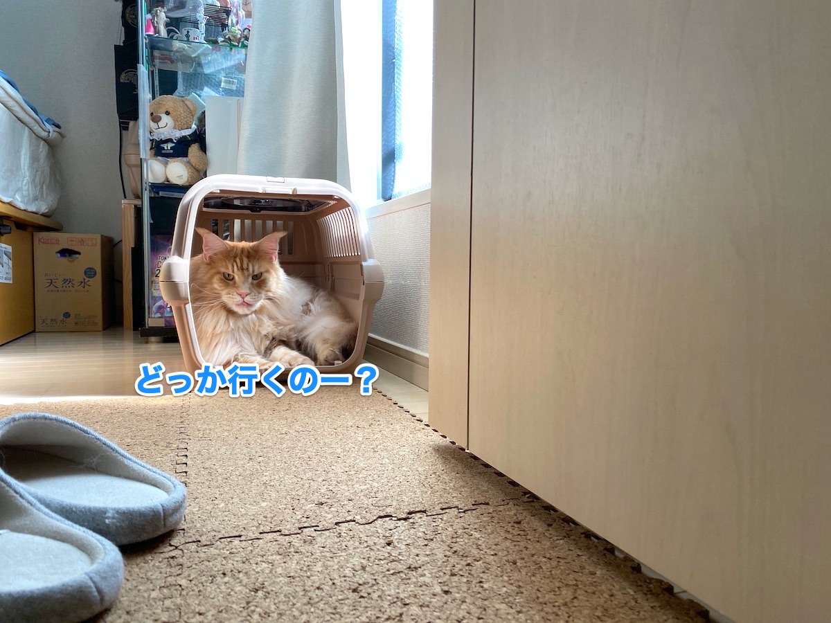 f:id:chikojirou:20201002210817j:plain