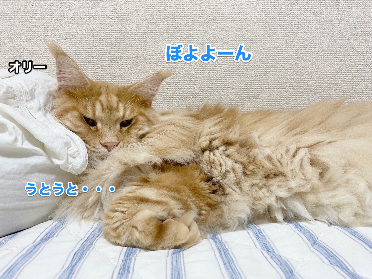 f:id:chikojirou:20201004161755j:plain