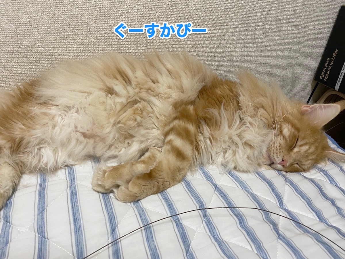 f:id:chikojirou:20201004161758j:plain