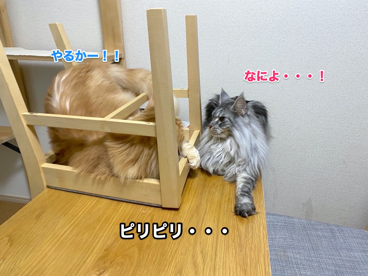 f:id:chikojirou:20201004161803j:plain
