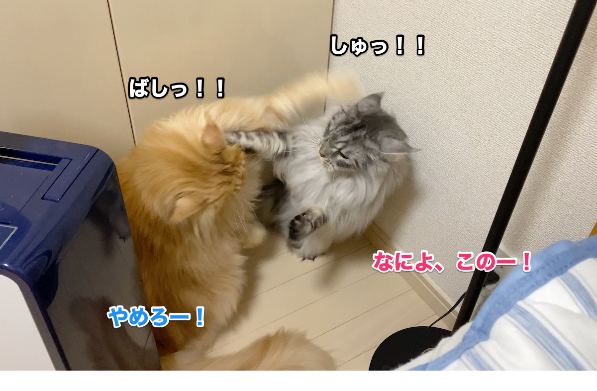 f:id:chikojirou:20201004161811j:plain