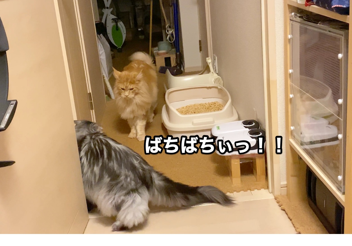 f:id:chikojirou:20201004161827j:plain