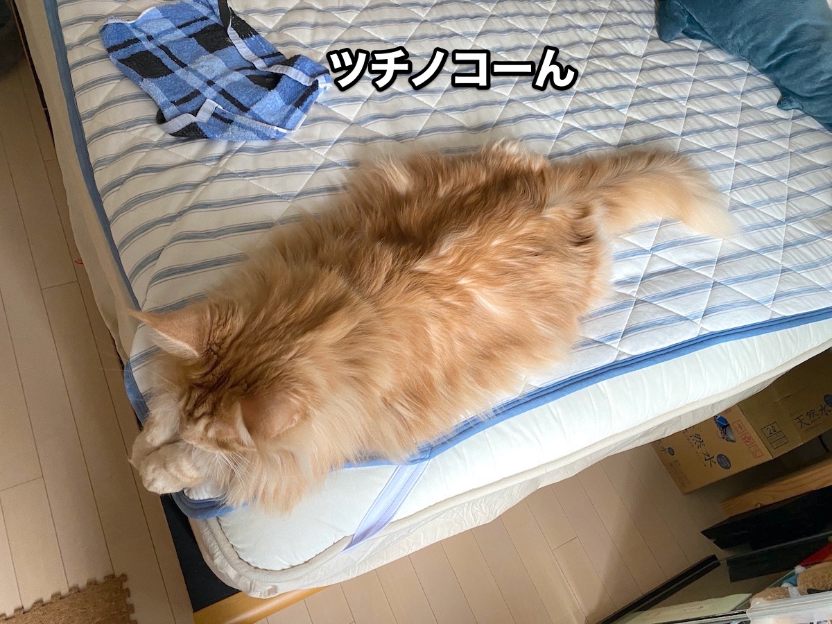f:id:chikojirou:20201006205031j:plain