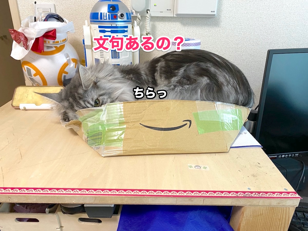 f:id:chikojirou:20201006205047j:plain