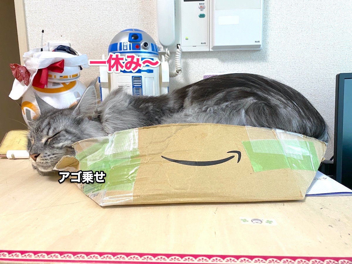 f:id:chikojirou:20201006205051j:plain