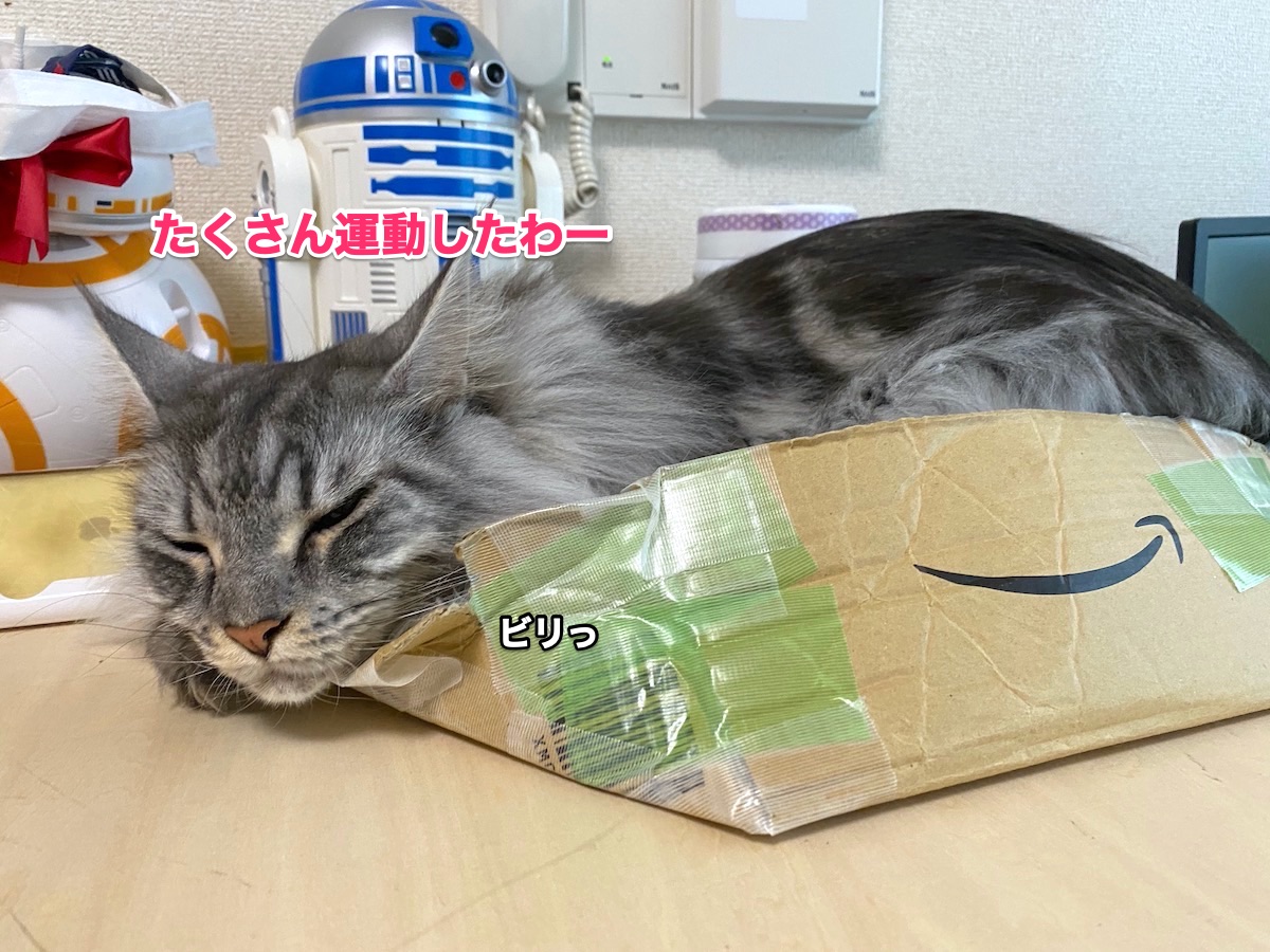f:id:chikojirou:20201006205054j:plain