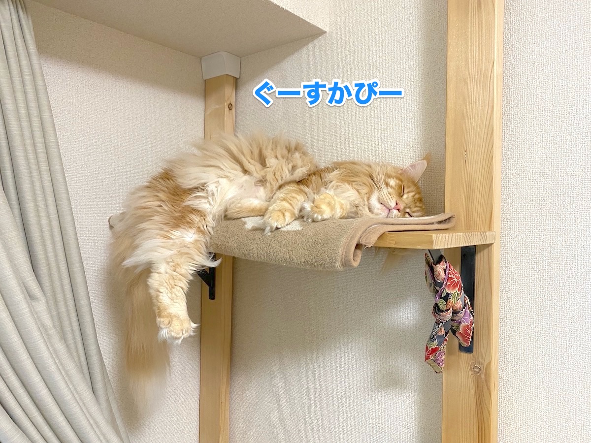 f:id:chikojirou:20201006205058j:plain
