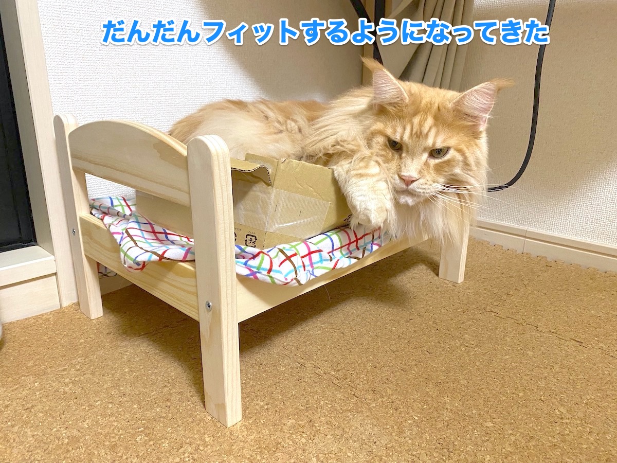 f:id:chikojirou:20201006205102j:plain