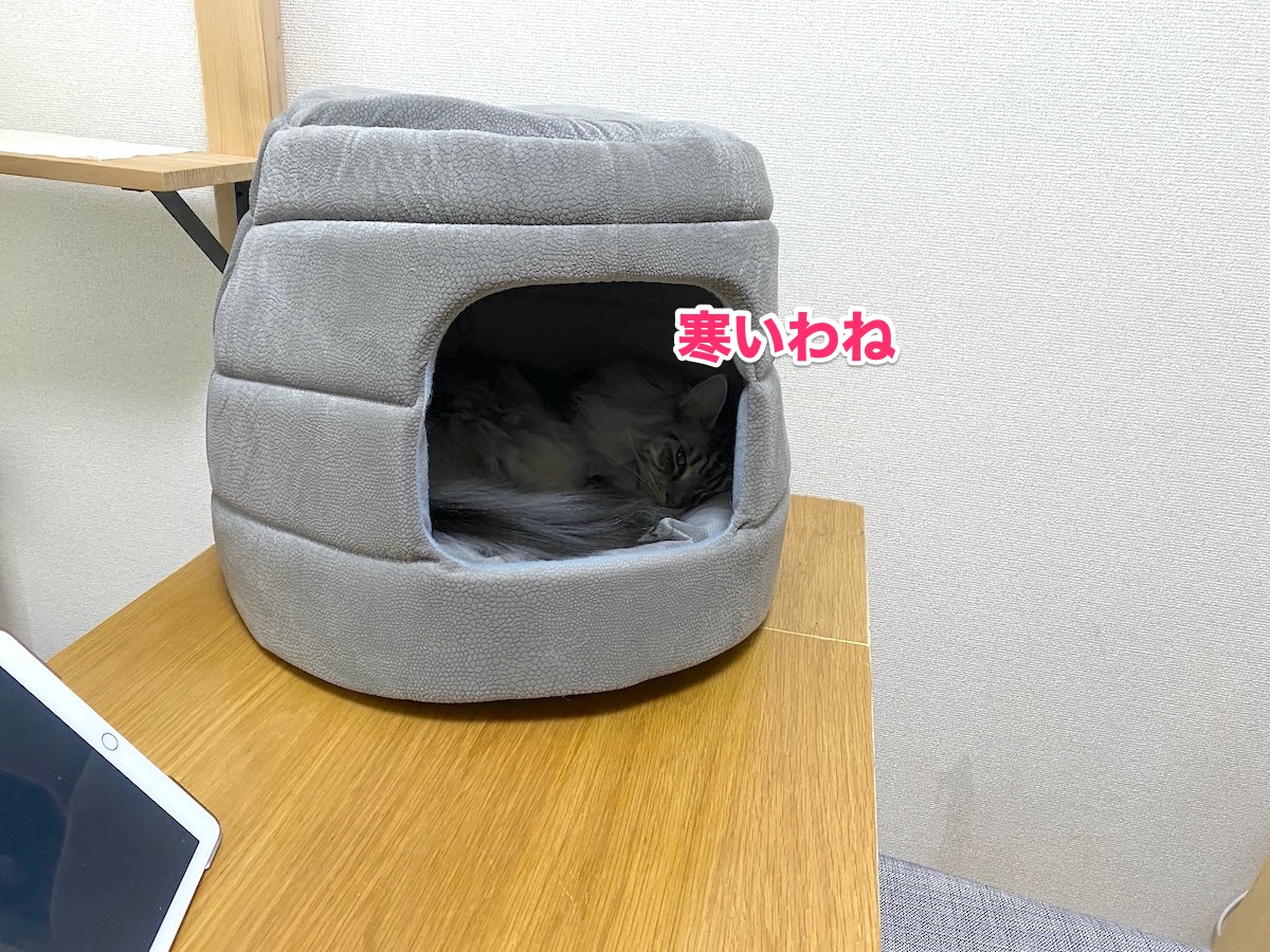 f:id:chikojirou:20201008204302j:plain