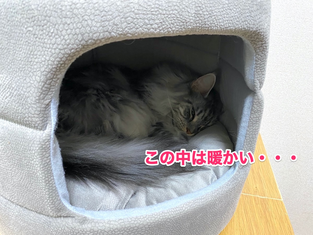 f:id:chikojirou:20201008204307j:plain