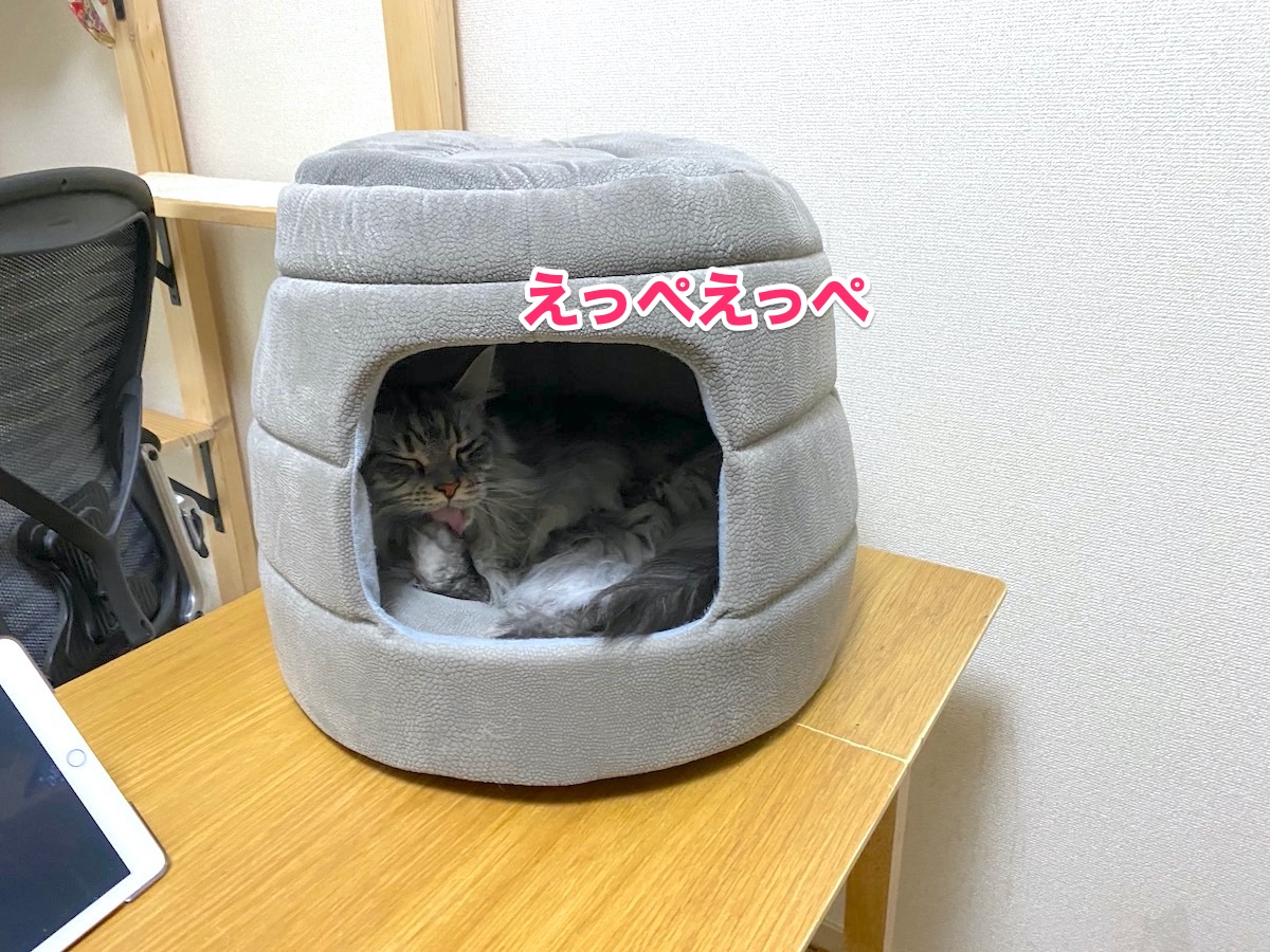 f:id:chikojirou:20201008204310j:plain