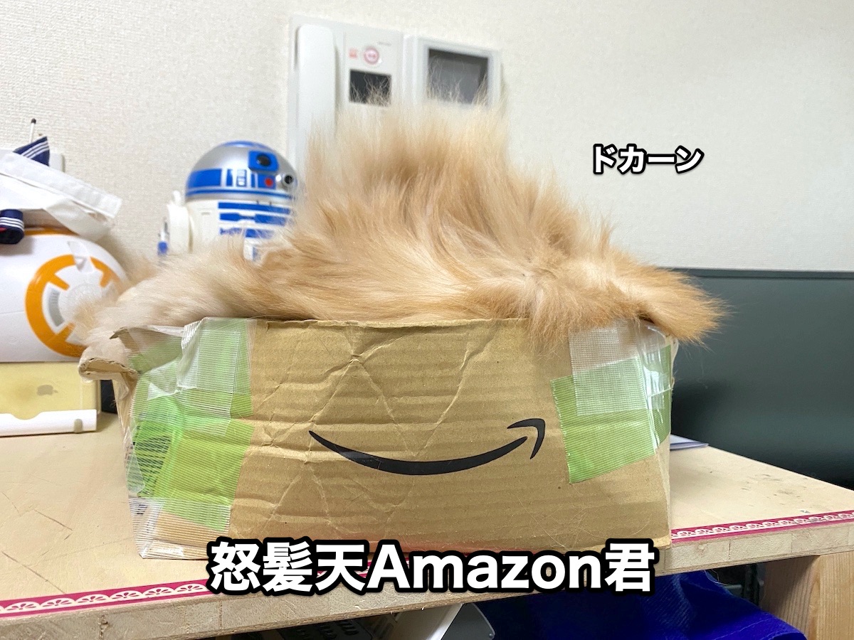 f:id:chikojirou:20201008204314j:plain