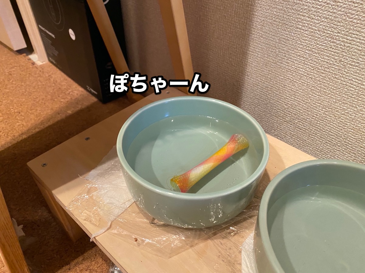 f:id:chikojirou:20201008204327j:plain