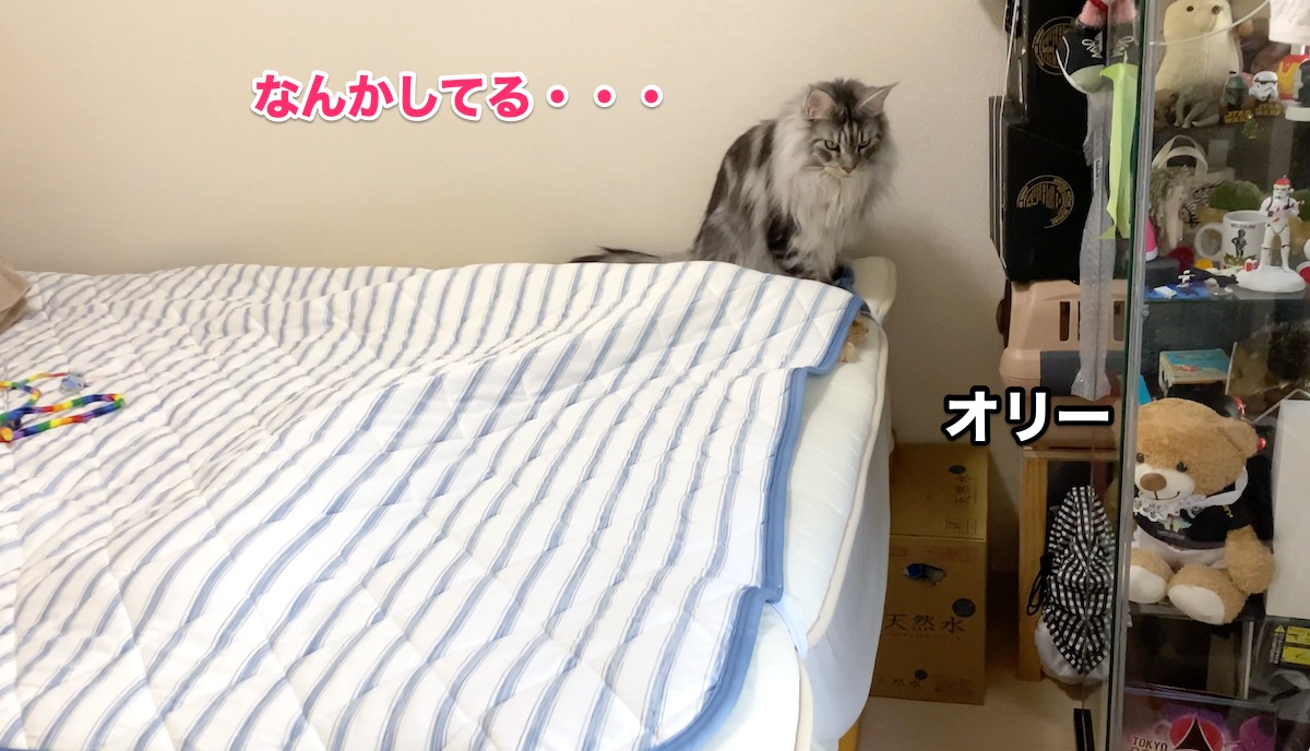 f:id:chikojirou:20201011203512j:plain