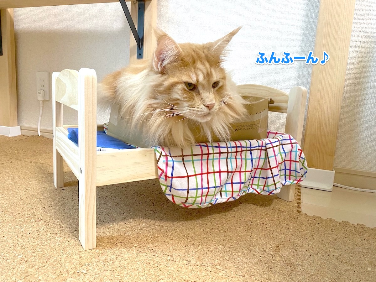 f:id:chikojirou:20201011203541j:plain
