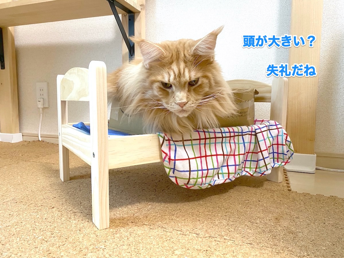 f:id:chikojirou:20201011203544j:plain