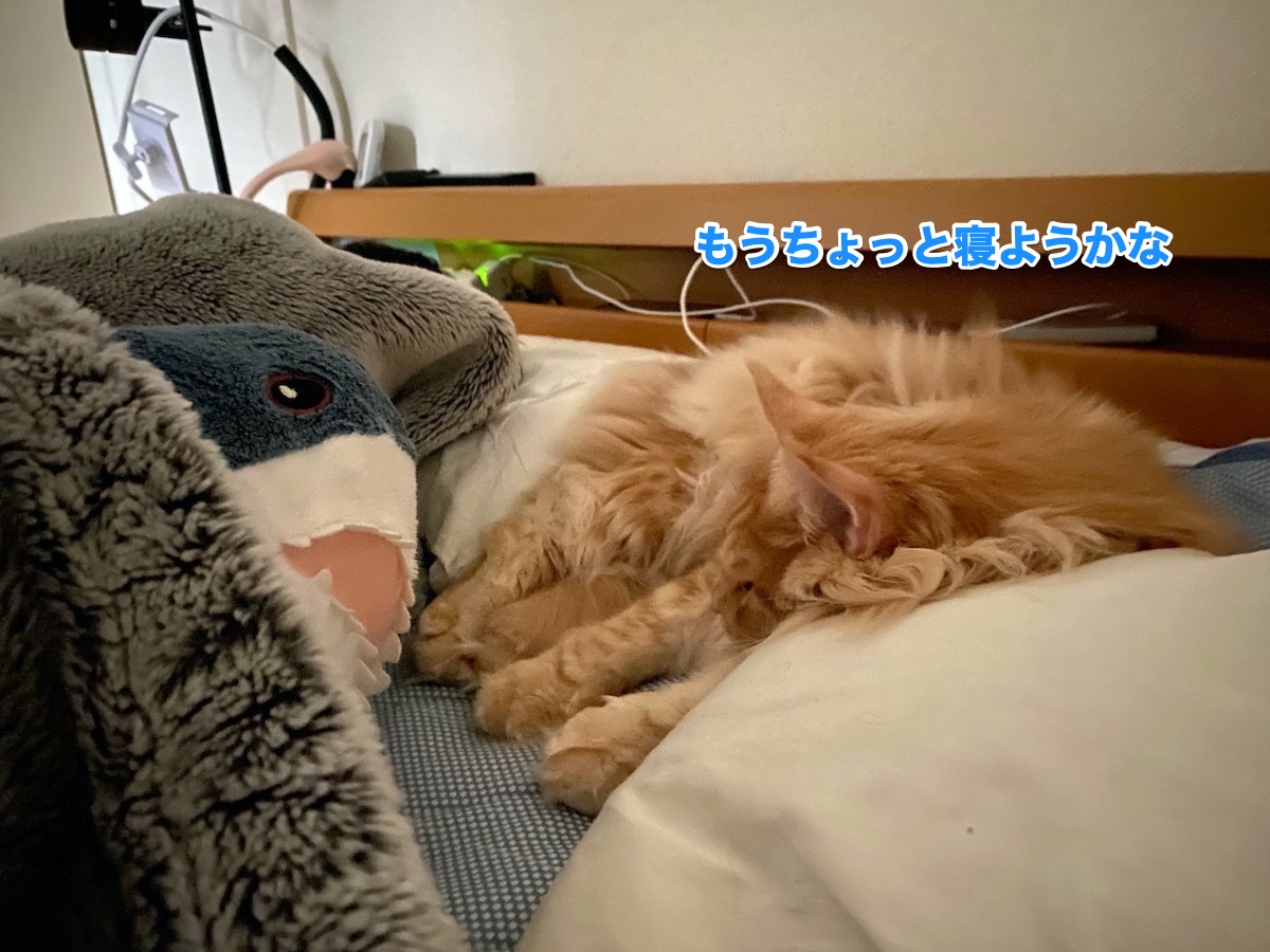 f:id:chikojirou:20201013204142j:plain f:id:chikojirou:20201013204142j:plain