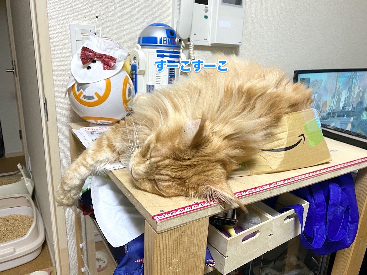 f:id:chikojirou:20201013204201j:plain f:id:chikojirou:20201013204201j:plain