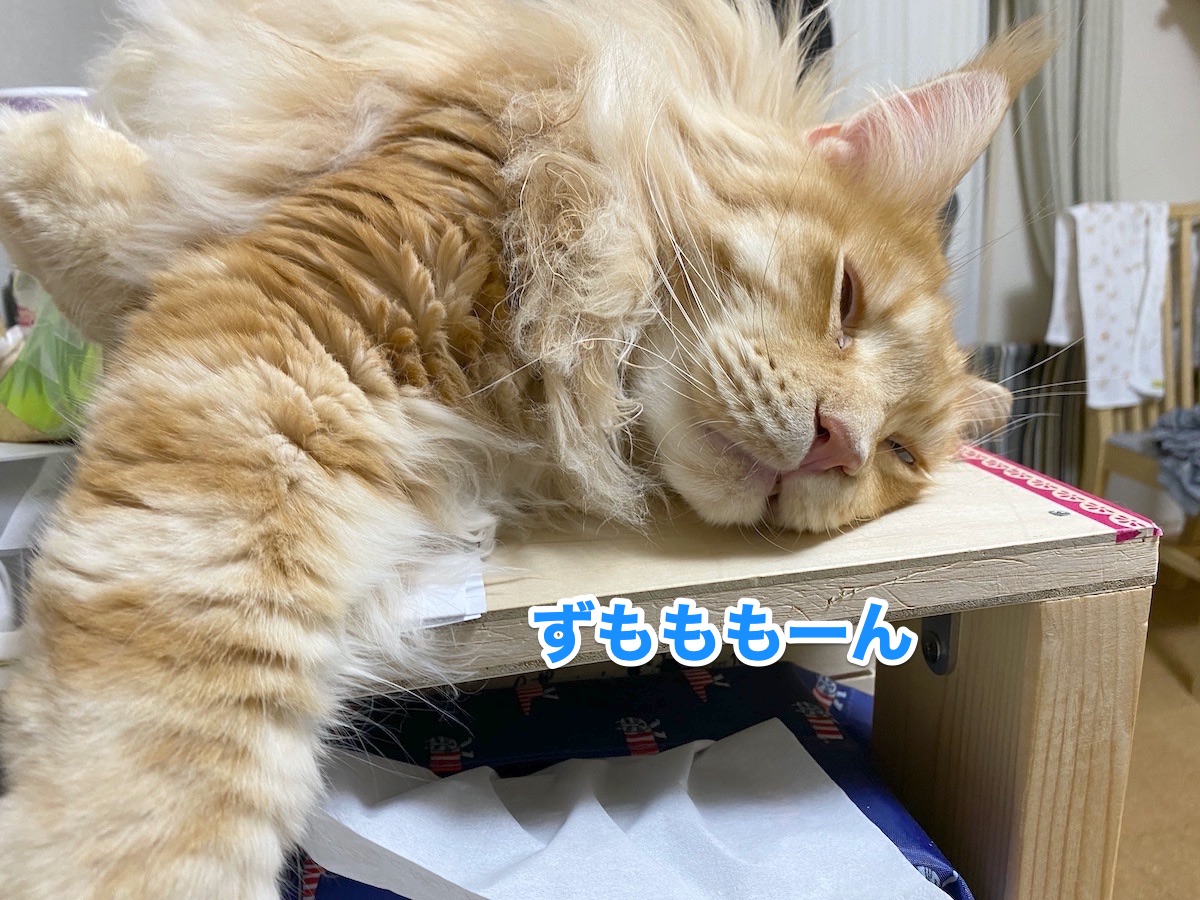 f:id:chikojirou:20201013204205j:plain f:id:chikojirou:20201013204205j:plain