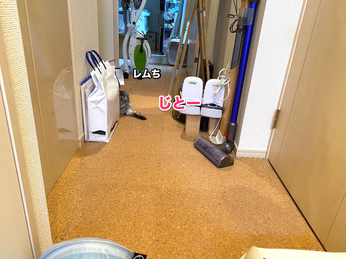 f:id:chikojirou:20201015204333j:plain