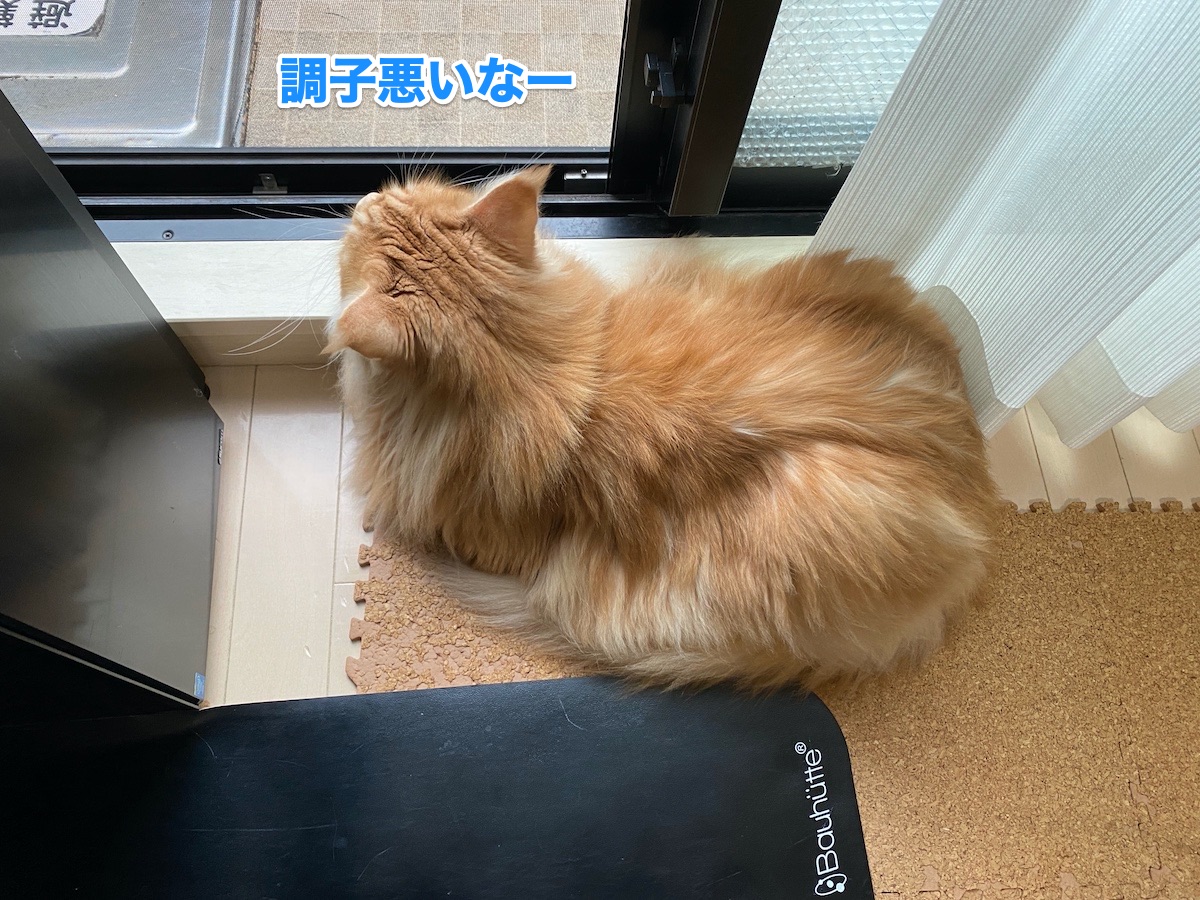 f:id:chikojirou:20201015204339j:plain