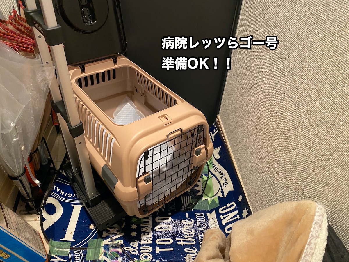 f:id:chikojirou:20201015204343j:plain