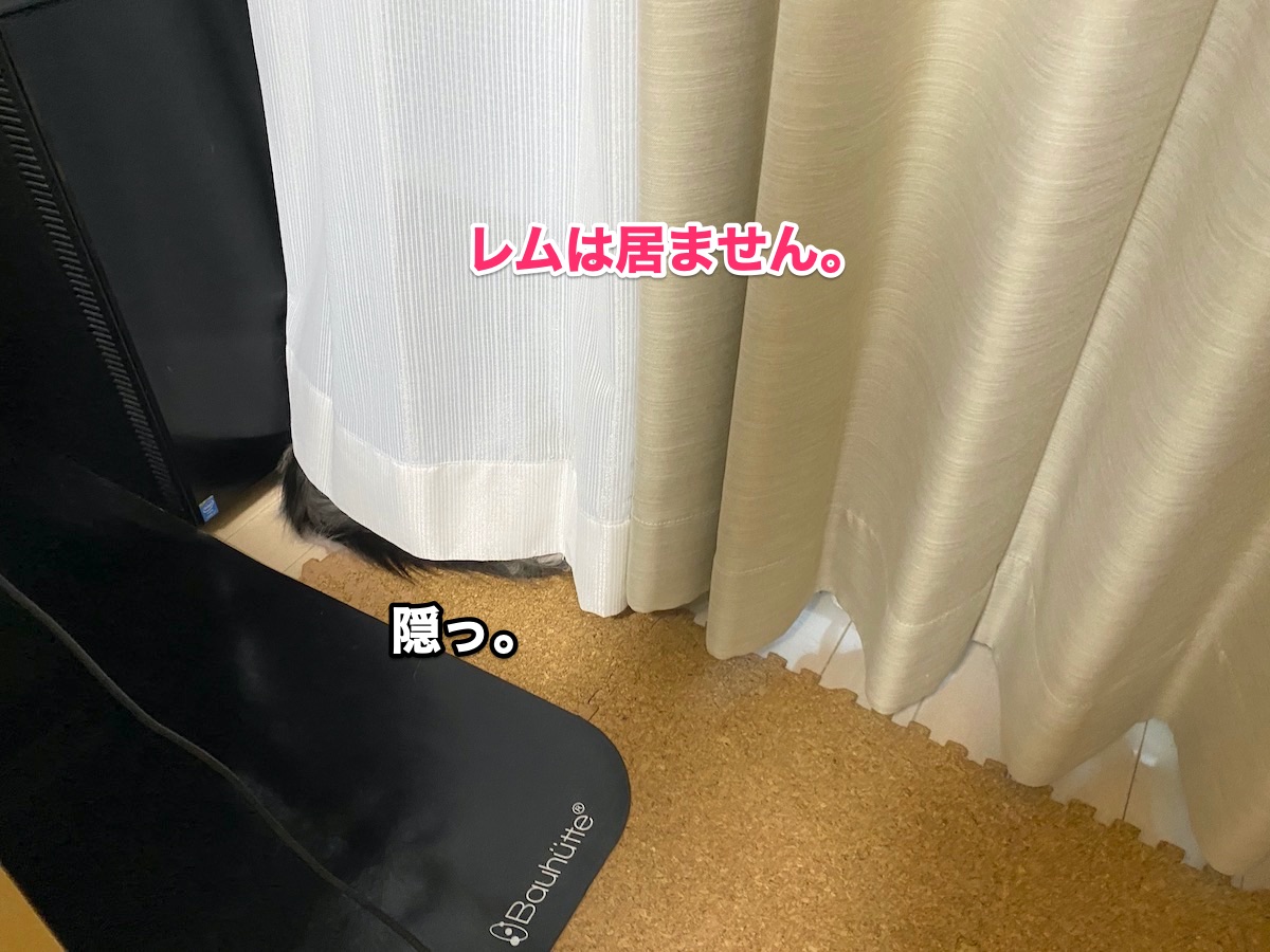 f:id:chikojirou:20201015204351j:plain