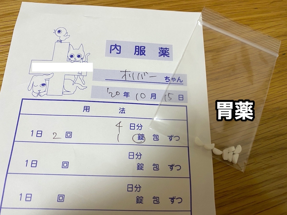 f:id:chikojirou:20201015204402j:plain