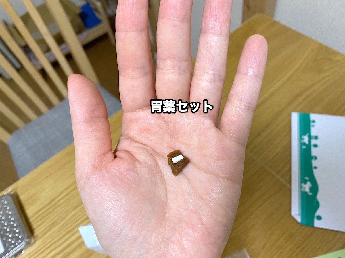 f:id:chikojirou:20201015204410j:plain