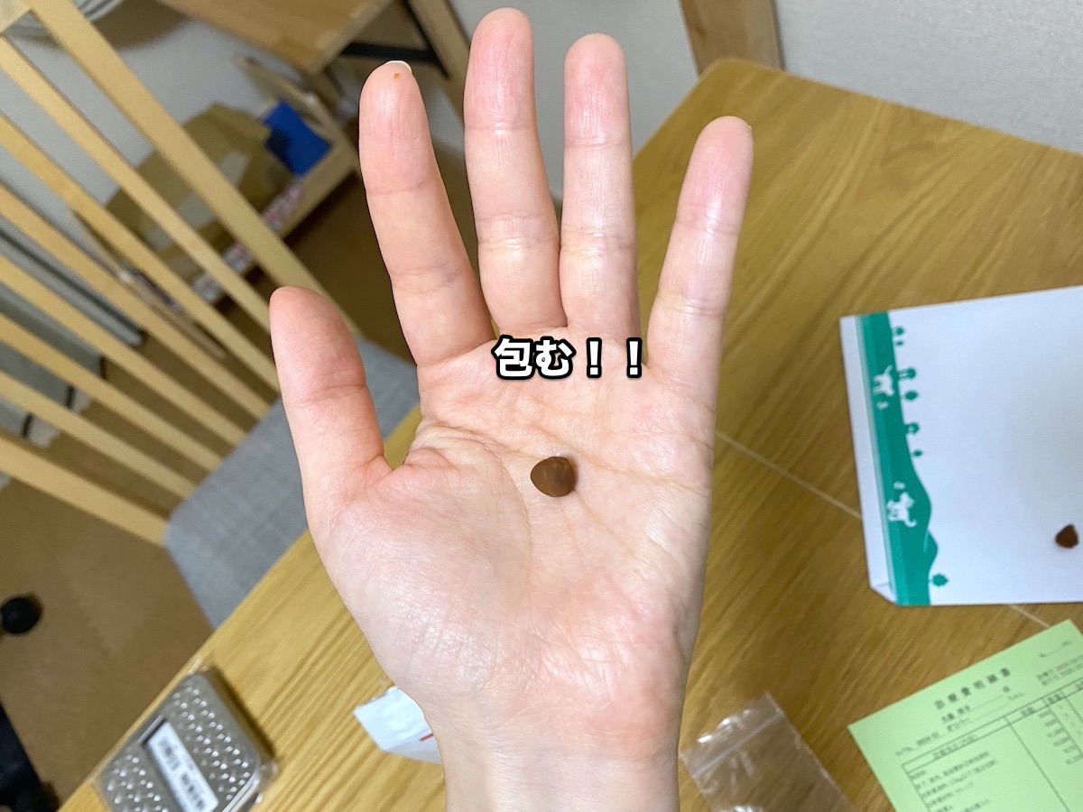 f:id:chikojirou:20201015204415j:plain