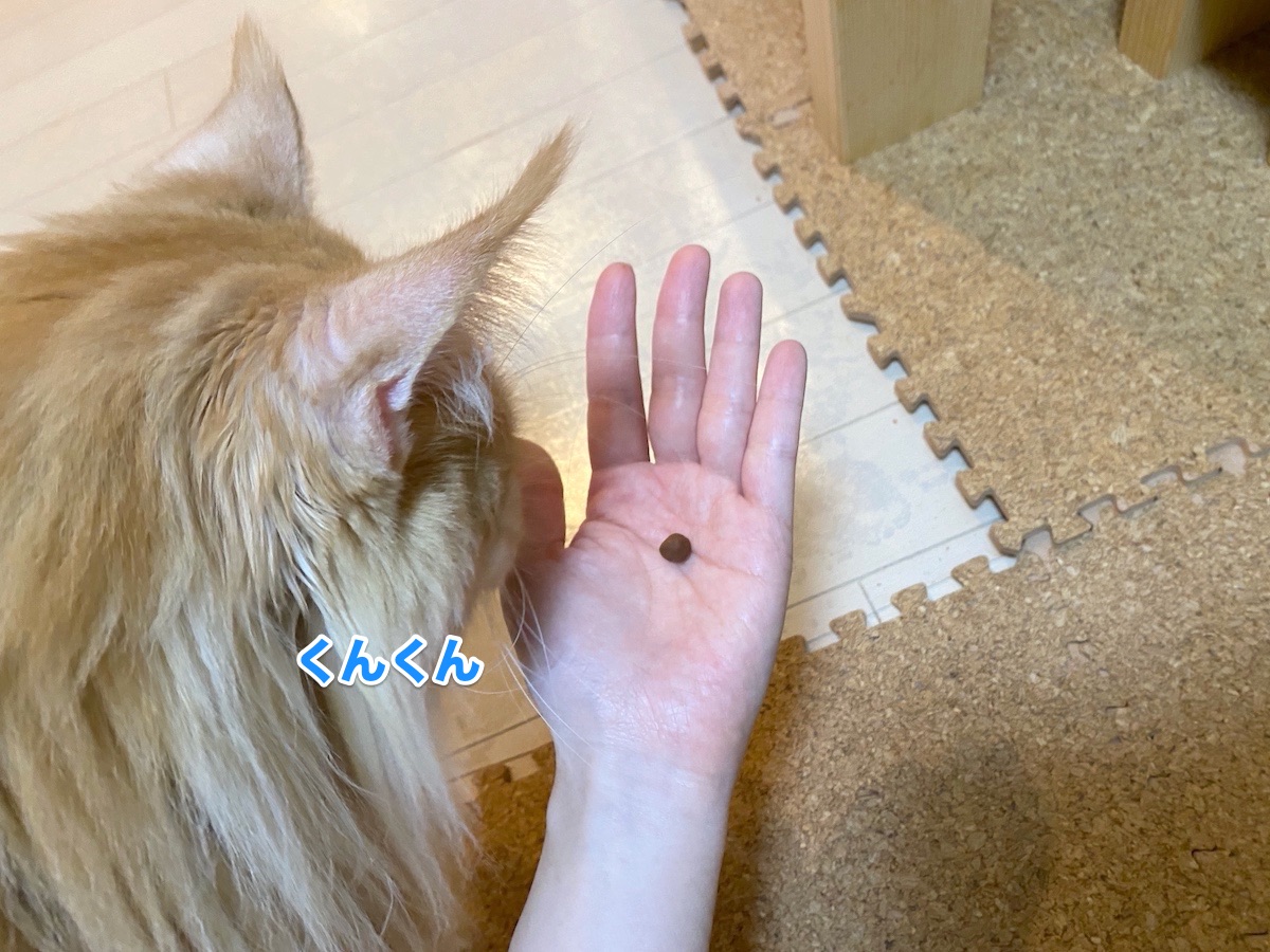 f:id:chikojirou:20201015204418j:plain