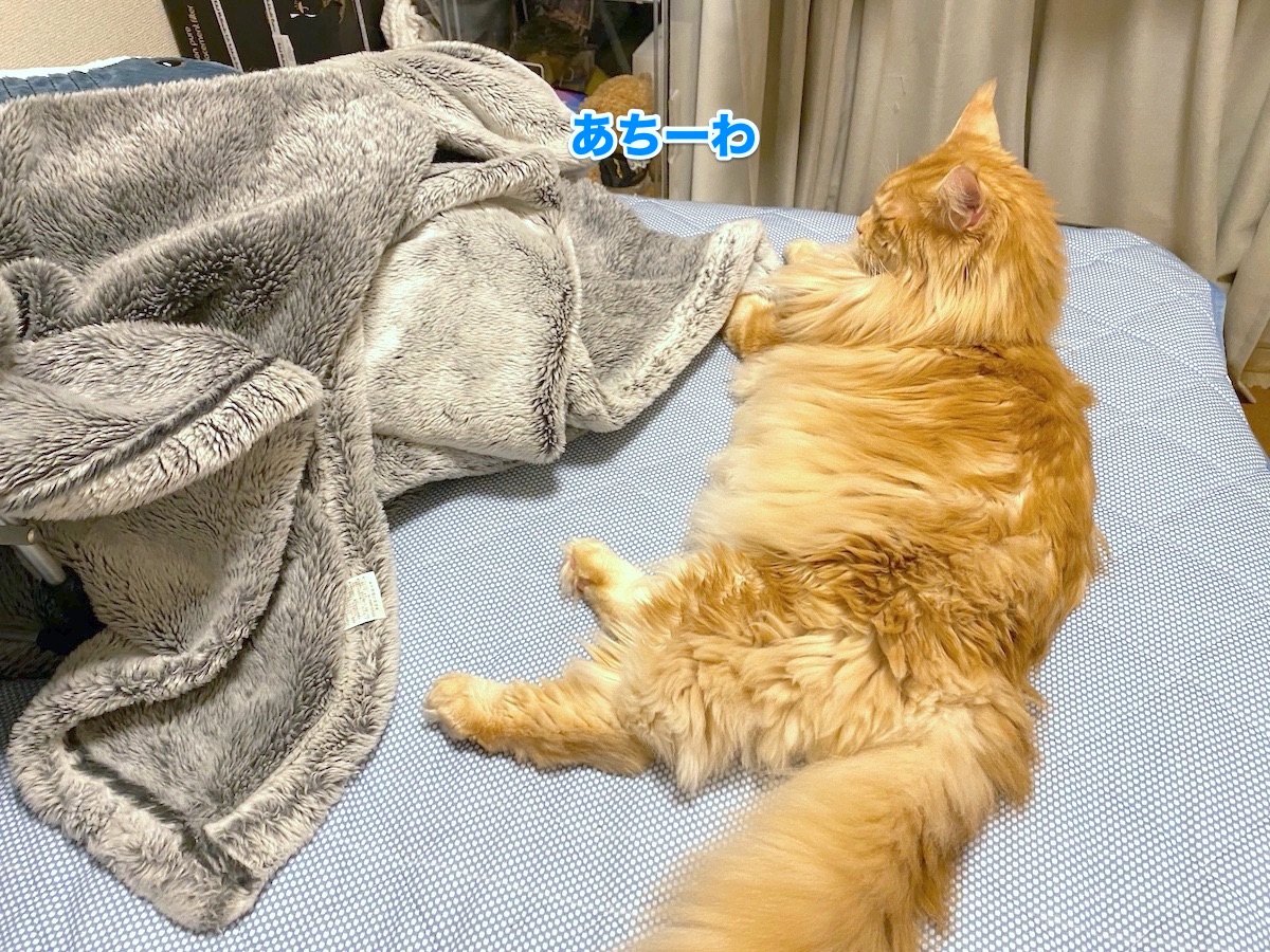 f:id:chikojirou:20201015204438j:plain
