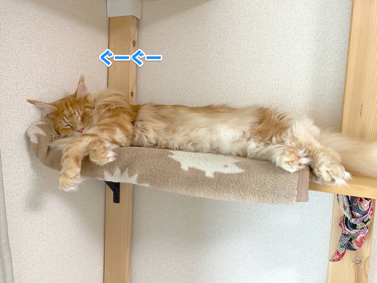 f:id:chikojirou:20201020223848j:plain