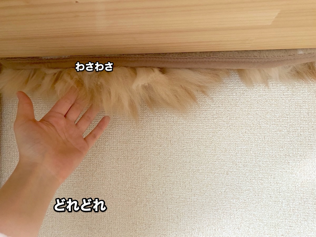 f:id:chikojirou:20201020223857j:plain