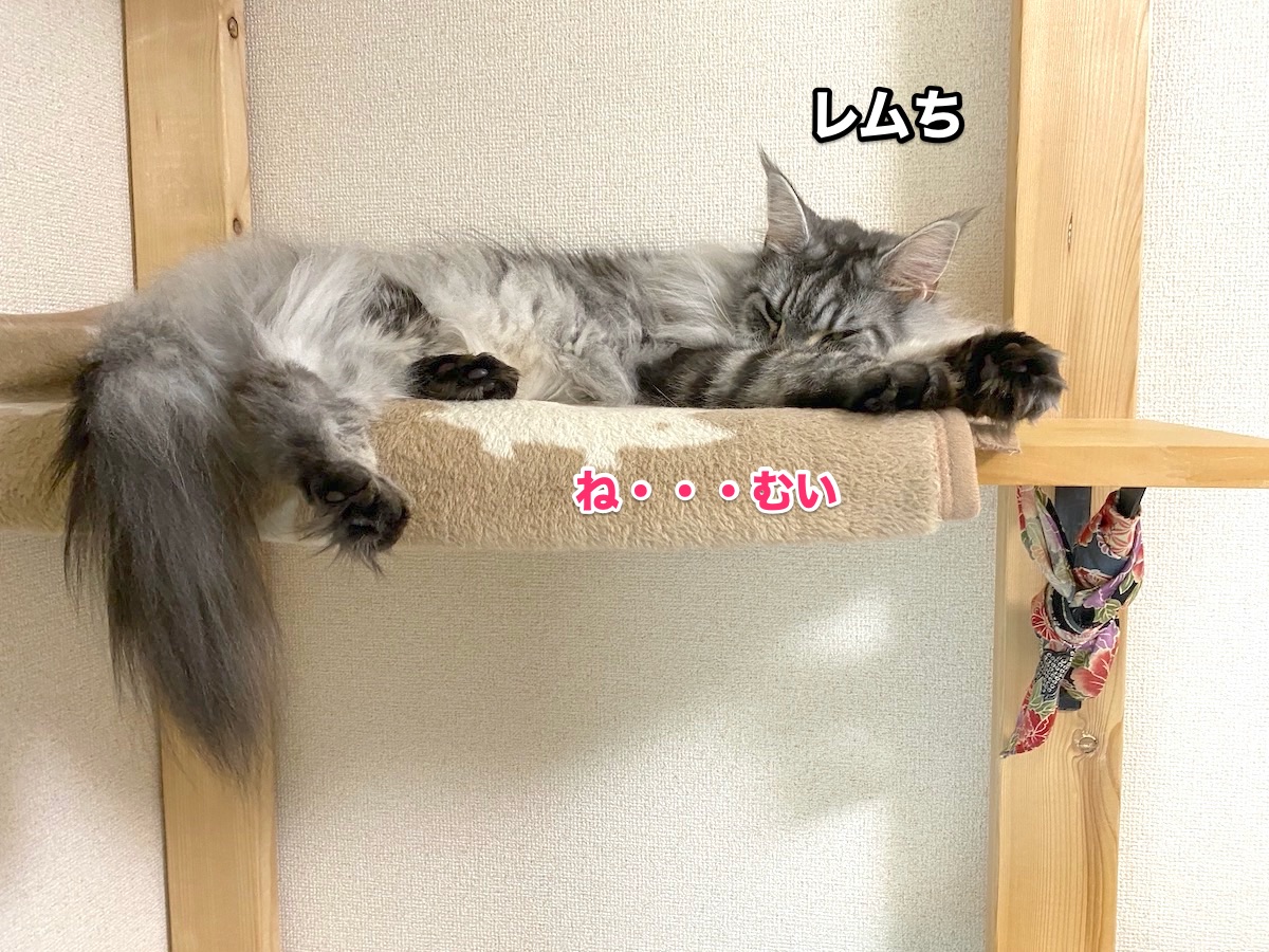 f:id:chikojirou:20201020223901j:plain