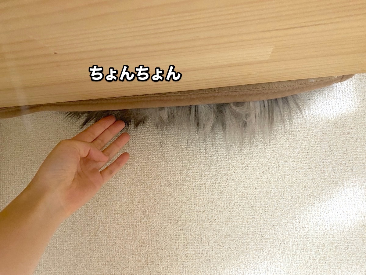 f:id:chikojirou:20201020223908j:plain