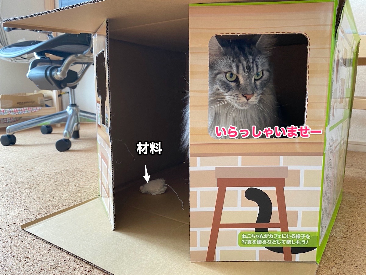 f:id:chikojirou:20201021204149j:plain