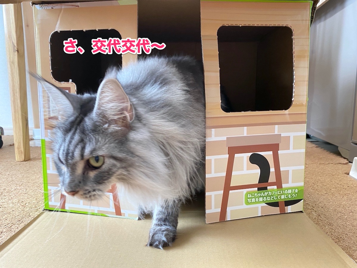 f:id:chikojirou:20201021204158j:plain