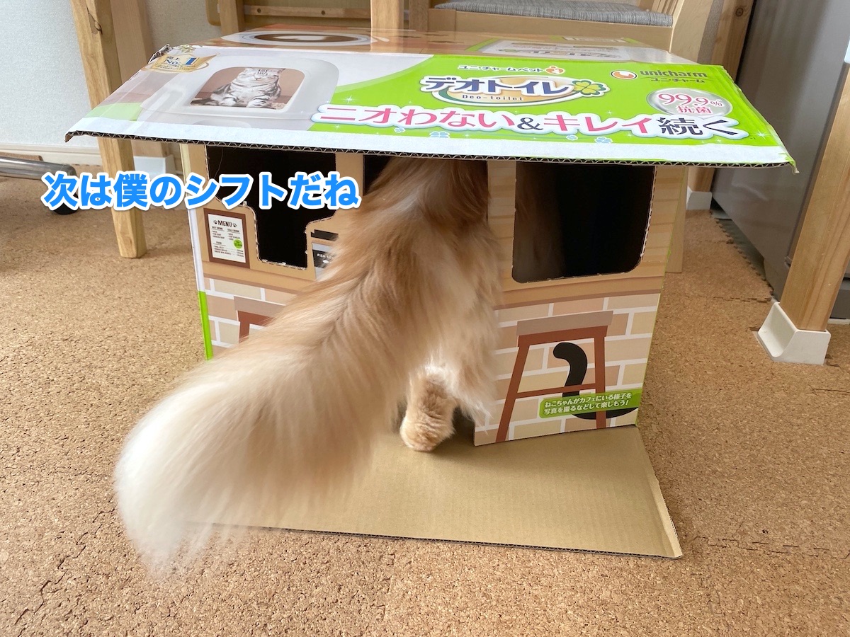 f:id:chikojirou:20201021204203j:plain