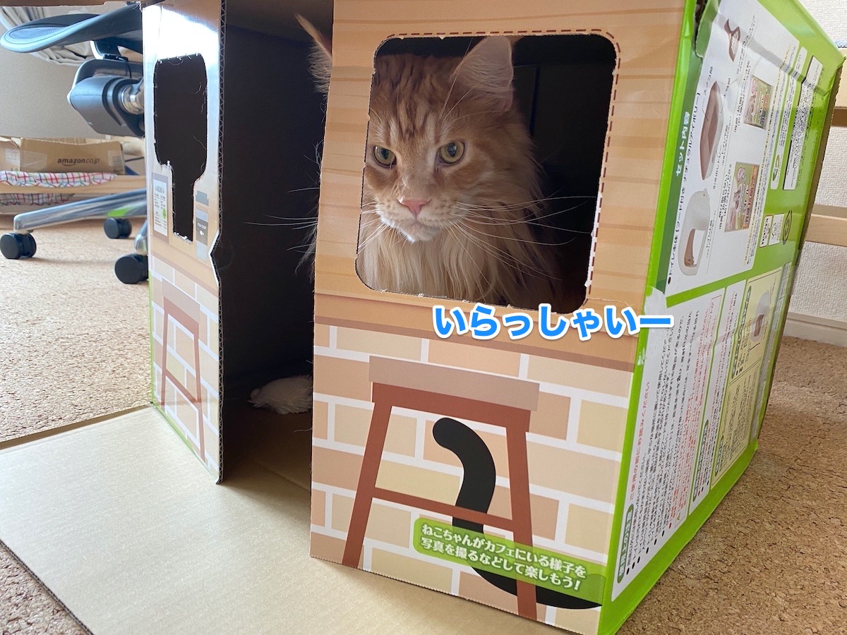 f:id:chikojirou:20201021204206j:plain