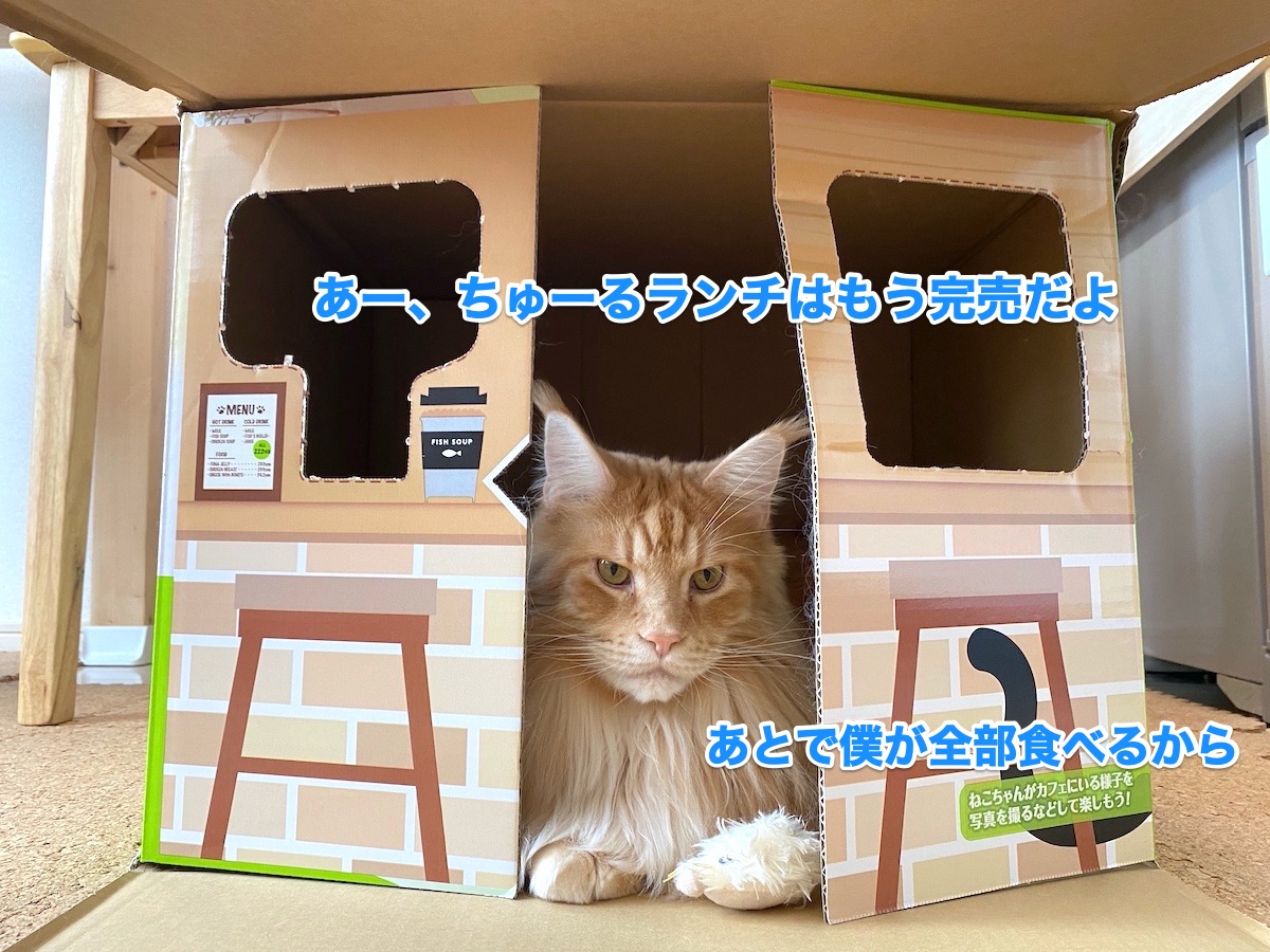 f:id:chikojirou:20201021204210j:plain