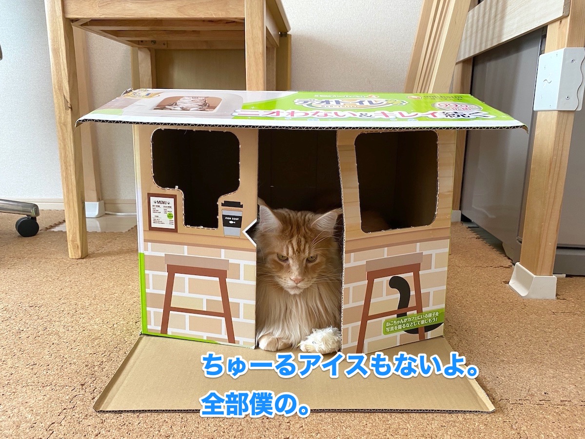 f:id:chikojirou:20201021204213j:plain