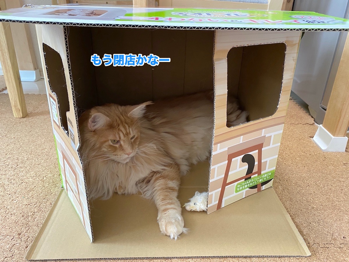 f:id:chikojirou:20201021204217j:plain